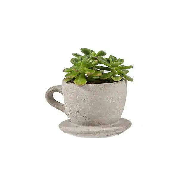 FARCE-CUP-S