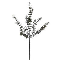VICKEF227536-1