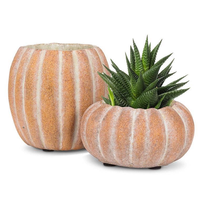 FAR27-PUMPKIN-220-XS