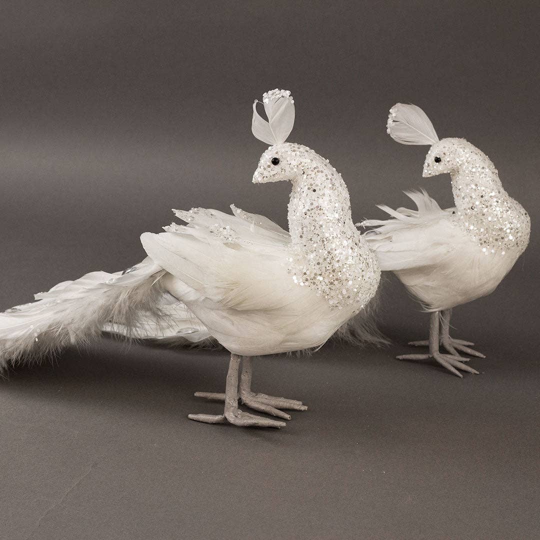 FARBBIRD15--W-SLV
