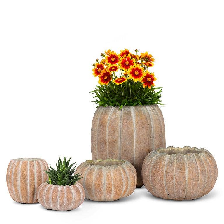 FAR27-PUMPKIN-220-XS