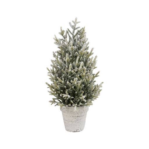 FARA02504