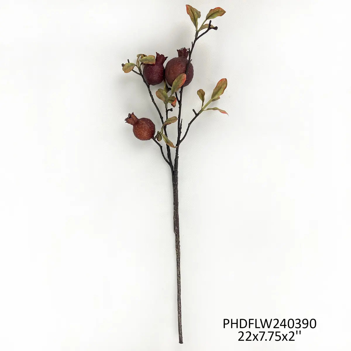 PVHPHDFLW240390