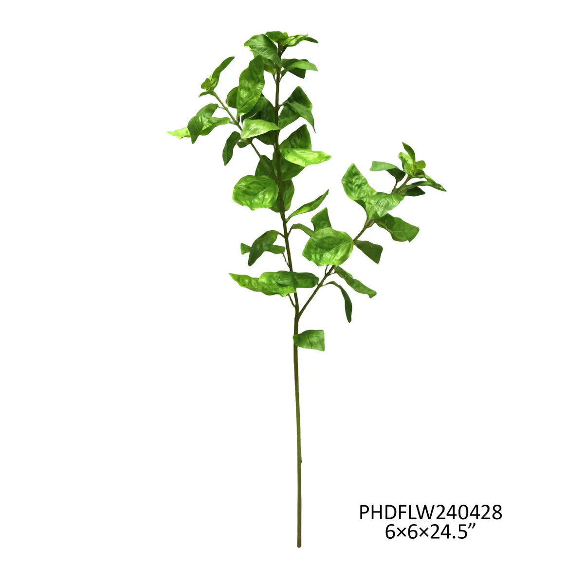 PVHPHDFLW240428