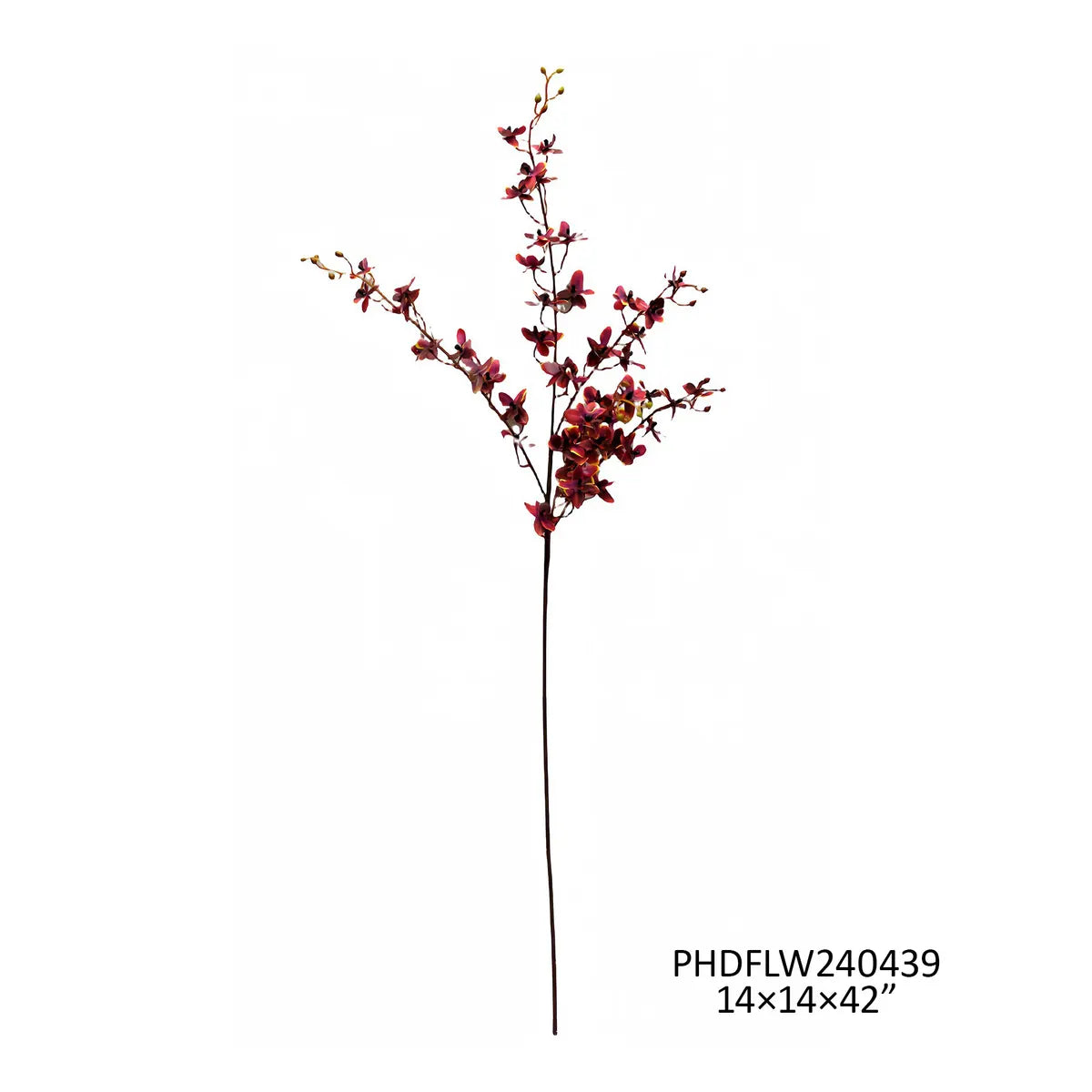 PVHPHDFLW240439