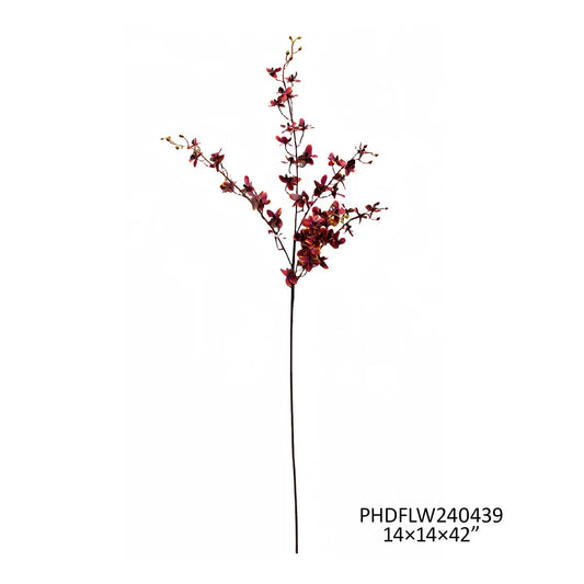 PVHPHDFLW240439