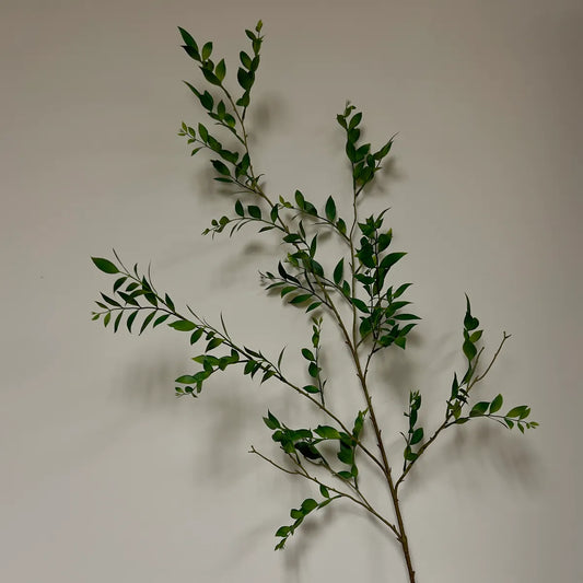 PVHPHDFLW250334