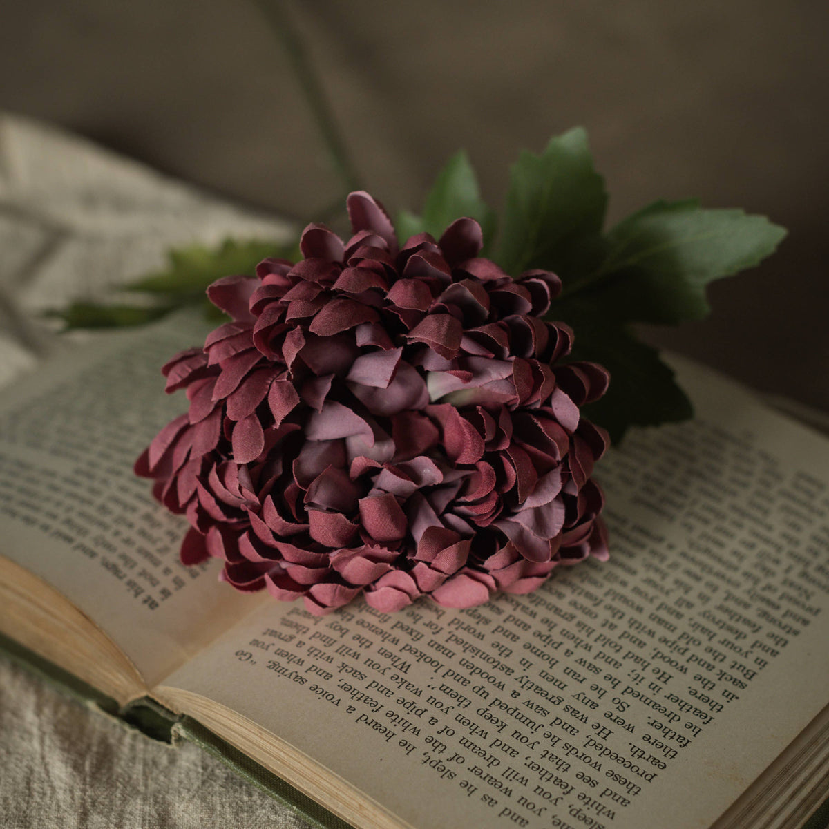 FARG201907