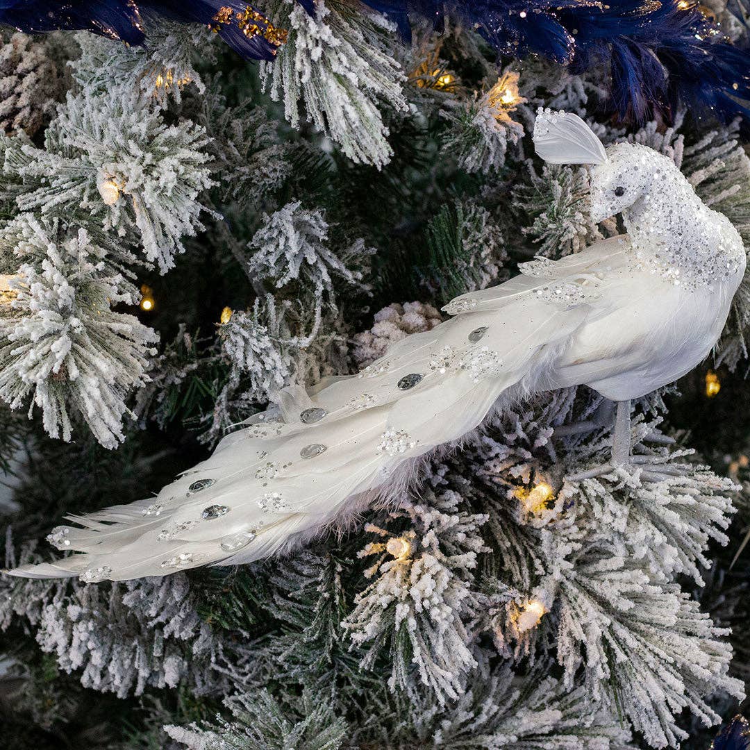 FARBBIRD15--W-SLV