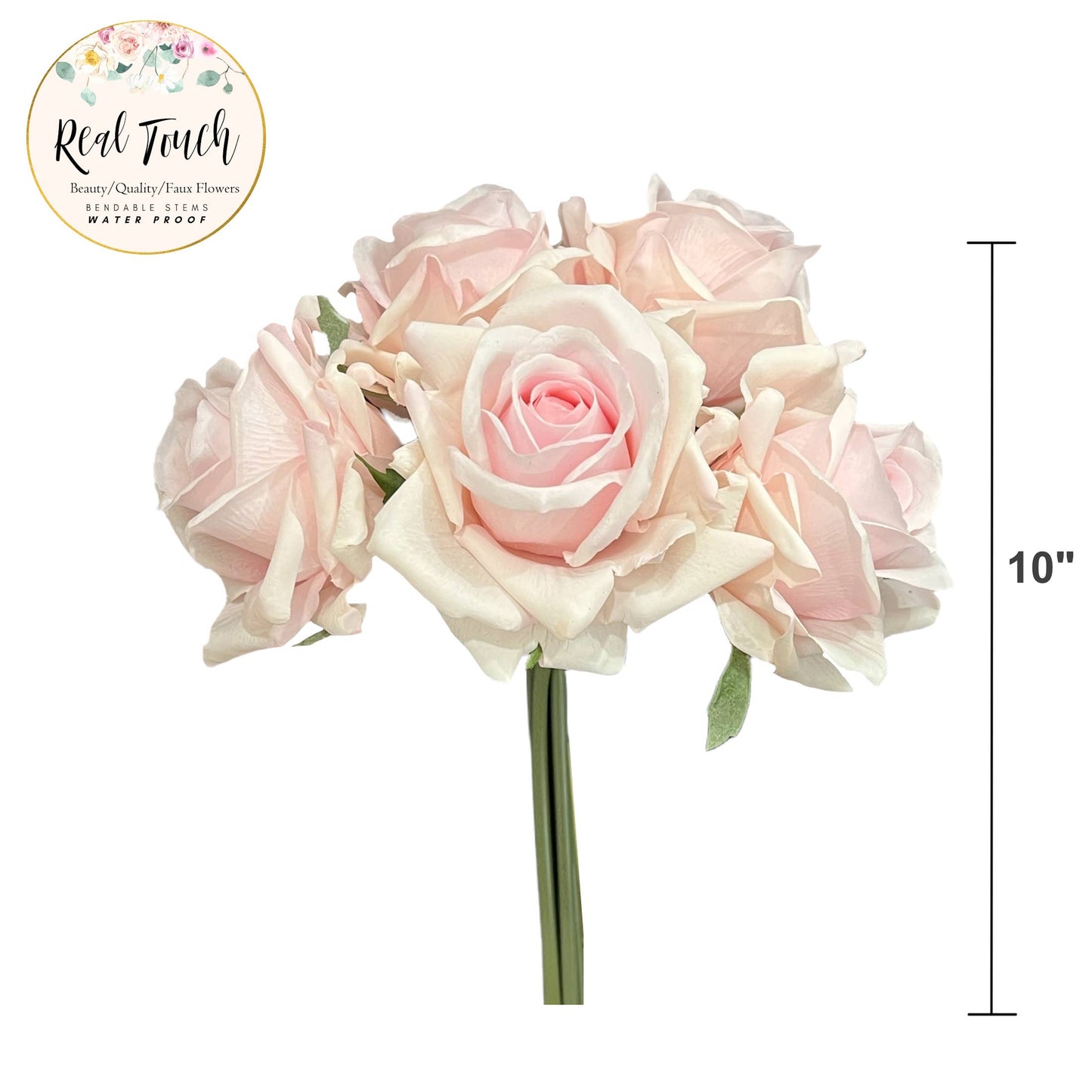 FARR036CF