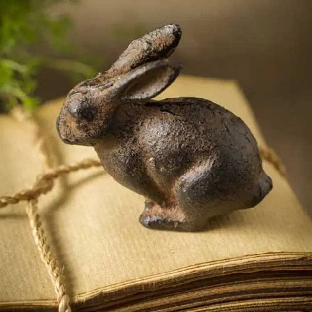 FARCI-BUNNY