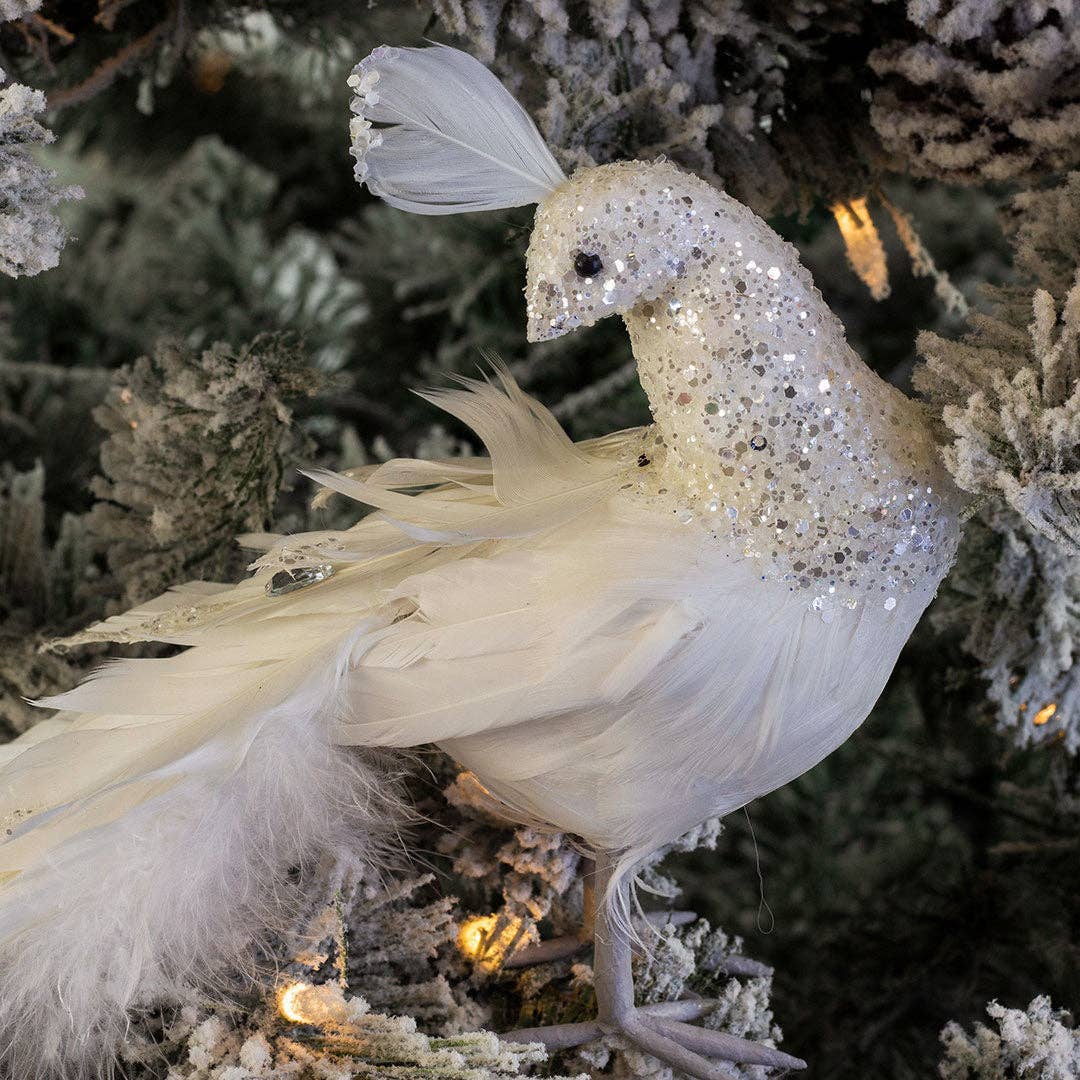 FARBBIRD15--W-SLV