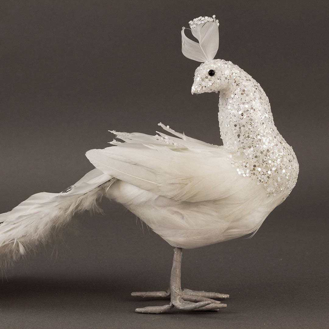 FARBBIRD15--W-SLV