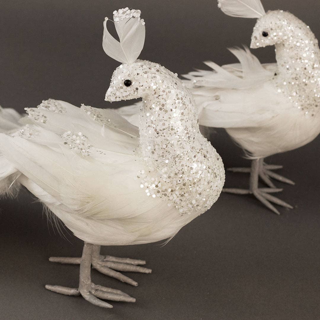 FARBBIRD15--W-SLV